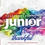 Shalsheles Junior 3 - Thankful (CD)